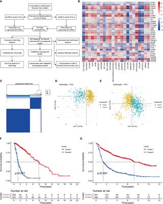 Molecular Subtypes and Prognostic Signature of Pyroptosis-Related lncRNAs in Glioma Patients